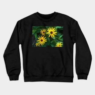 Susie Browns' Note Card Crewneck Sweatshirt